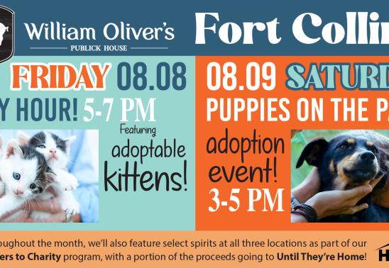 Cocktails with Kittens