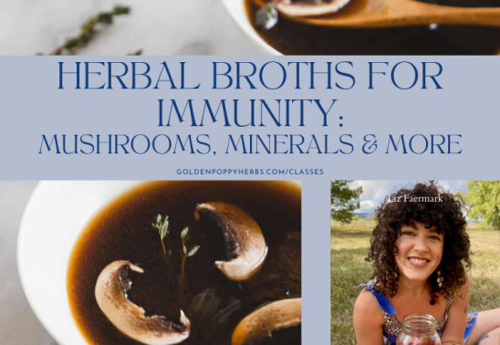 Herbal Broths for Immunity: Mushrooms, Minerals & More with Herbalist Liz Faermark @TalkWildHerbs