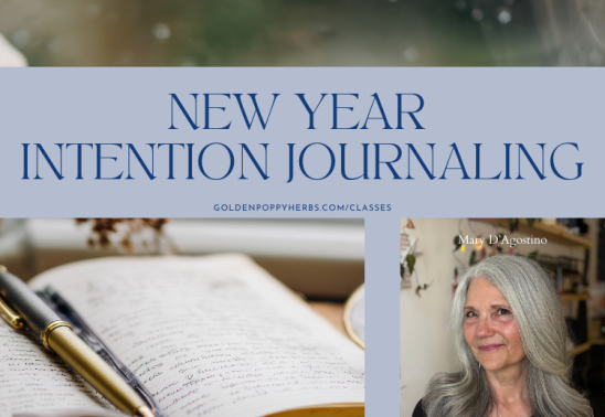 New Year Intention Journaling with Mary D'Agostino