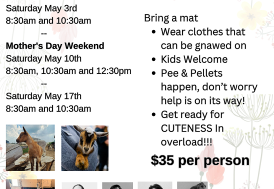 Old Town Square Baby Goat Yoga