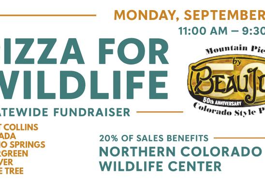 Fort Collins Events Calendar What #39 s Happenin #39