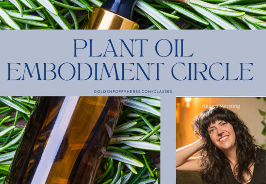 Plant Oil Embodiment Circle with Andrea Sweeting