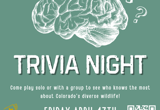Wildlife Trivia Night