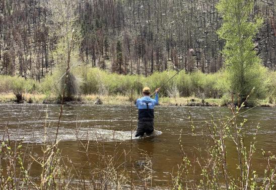 FREE Spey Fishing Demo