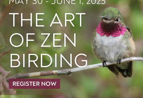 The Art of Zen Birding