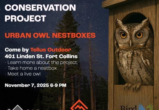 First Friday with Bird Conservancy