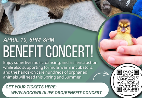 Benefit Concert Featuring Steve and the Cruisers