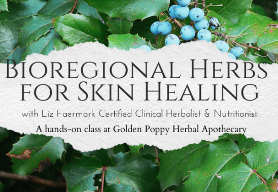Bioregional Herbs for Skin Healing with Herbalist Liz Faermark