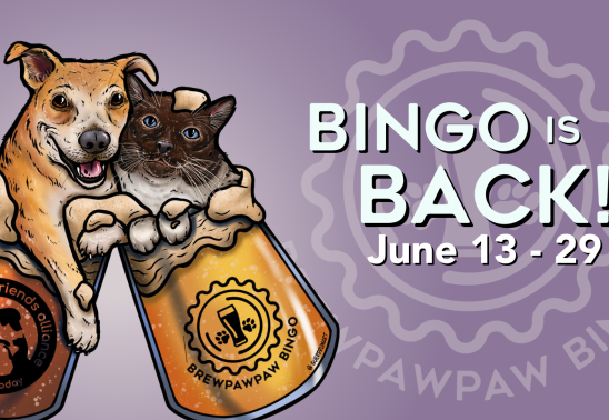 BrewPawPaw Bingo