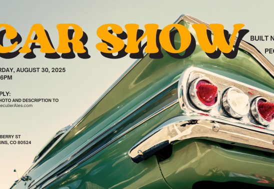 Car Show: Built Not Bought