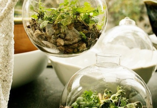 Christmas Terrarium Ornament Class at Bath Garden Center