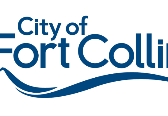 Ranked Choice Voting - Lunch and Learn