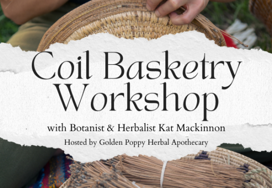 Coil Basketry Workshop