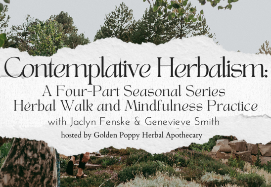 Contemplative Herbalism: A Four Part Seasonal Series Herbal Walk and Mindfulness Practice