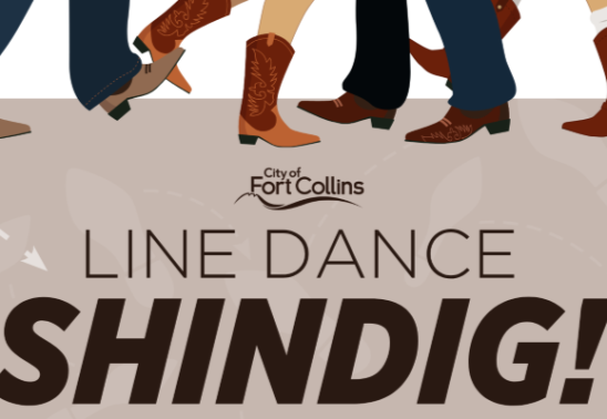 Line Dance Shindig