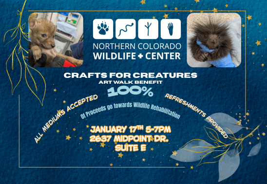 Crafts for Creatures Benefit