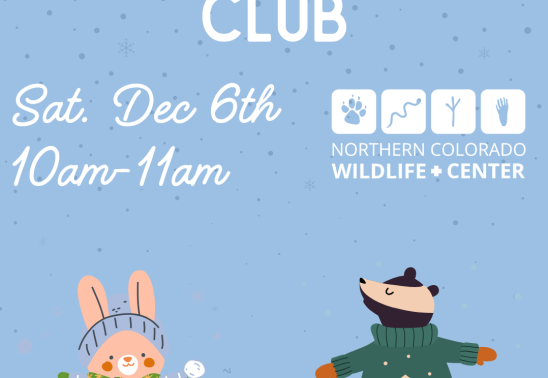 Lil' Naturalists Club