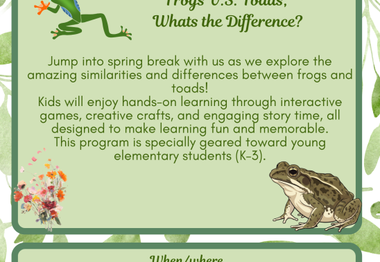 Spring Break Learning Program
