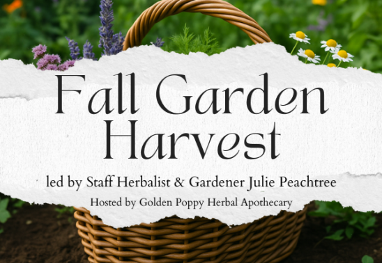 Fall Garden Harvest with Julie Peachtree