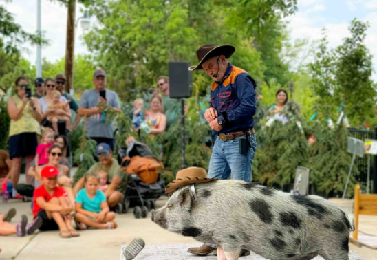 Farm Day at Bath Garden Center