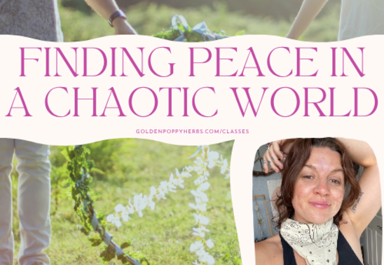 Finding Peace in a Chaotic World
