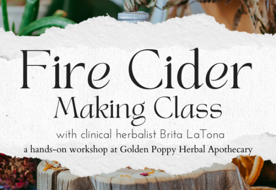 Fire Cider Making Class with Brita LaTona