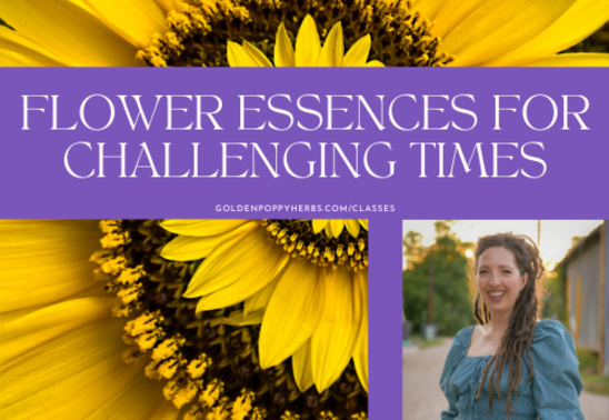 Flower Essences for Challenging Times