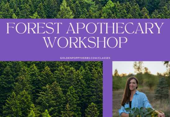 Forest Apothecary with Kat Mackinnon