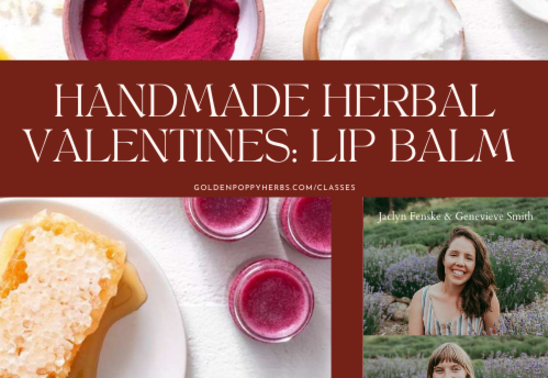 Handmade Herbal Valentines- Lip Balm Tins with Jaclyn Fenske & Genevieve Smith