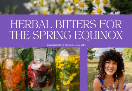 Herbal Bitters for the Spring Equinox with Liz Faermark