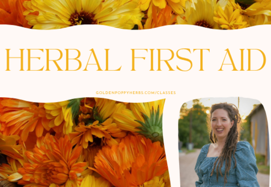 Herbal First Aid Workshop