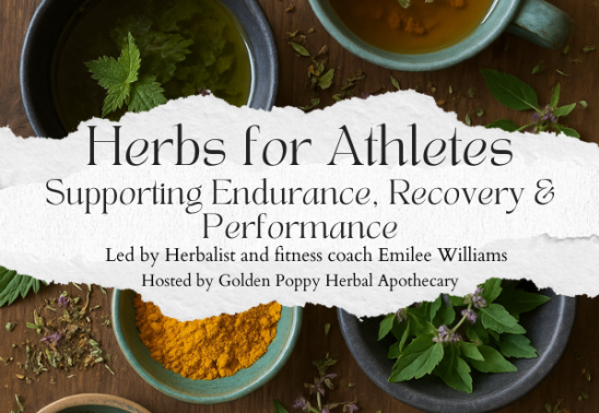 Herbs for Athletes: Supporting Endurance, Recovery & Performance