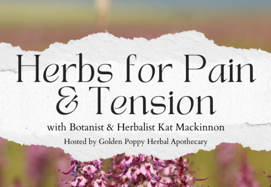 Herbs for Pain and Tension with Kat Mackinnon