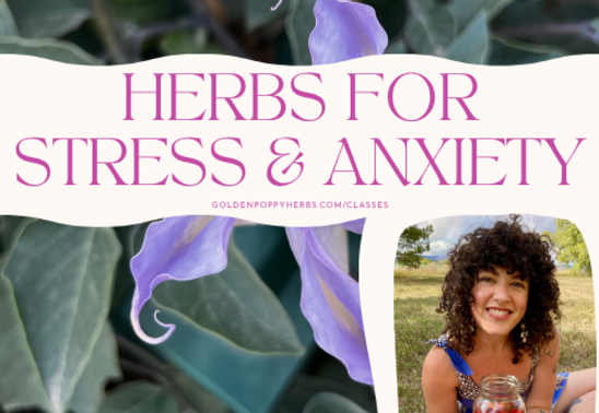 Herbs for Stress & Anxiety with Liz Faermark