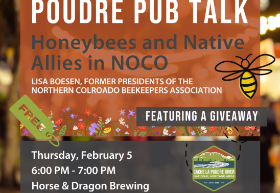Honeybees and Native Allies in Northern Colorado | Poudre Pub Talk