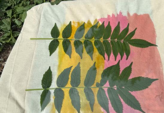 Cyanotypes: Print the Rainbow with Sonja Salzburg