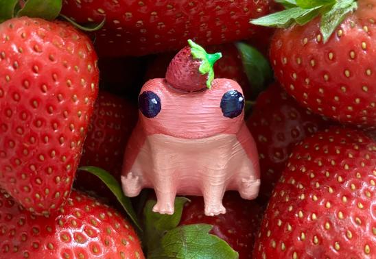 Paint Your Own Frog Charity Event