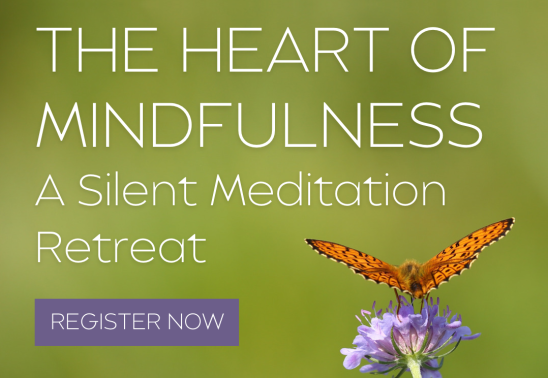 The Heart of Mindfulness: A Silent Meditation Retreat