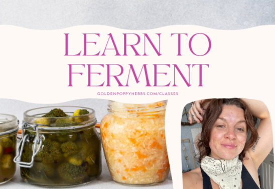 Learn to Ferment