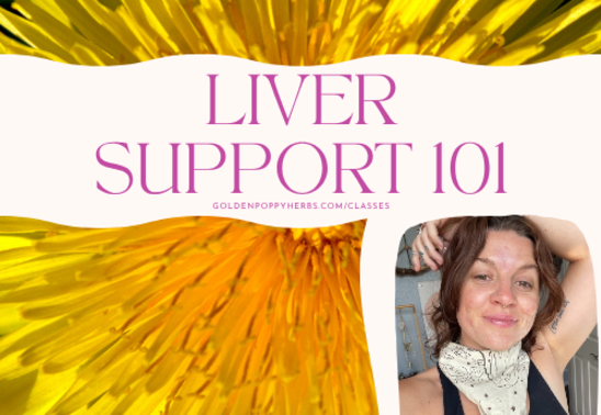 Liver Support 101 with Emilee Williams