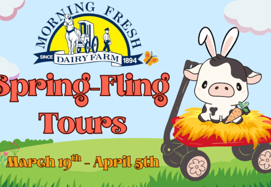 Spring-Fling Dairy Tours