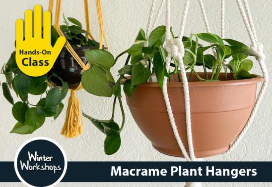 Macrame Plant Hangers