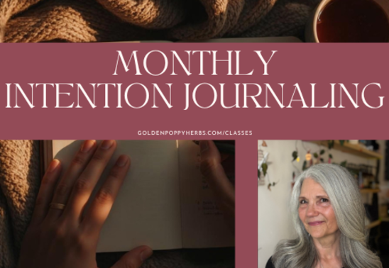 Monthly Intention Journaling with Mary D'Agostino