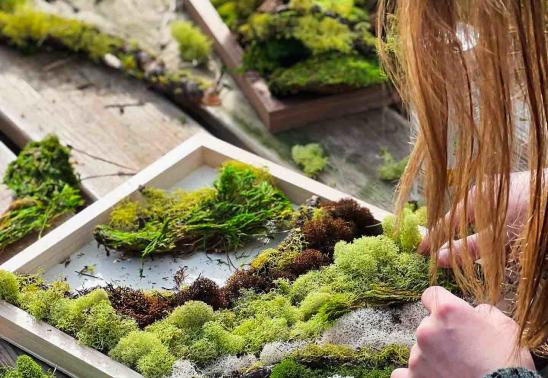 Framed Moss Class at Bath Garden Center