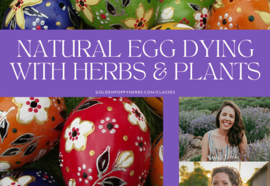 Natural Egg Dying with Herbs & Plants