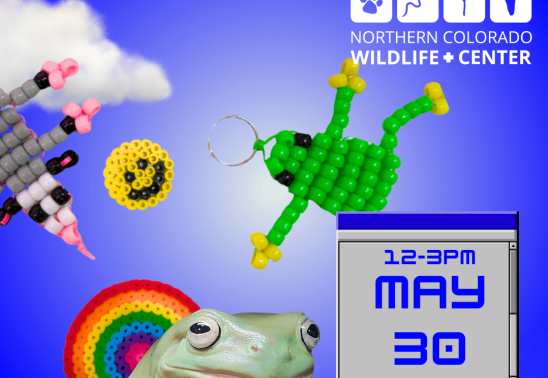 NoCo Wildlife Book Fair
