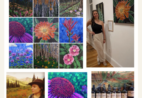 Plant Allies Project Showing