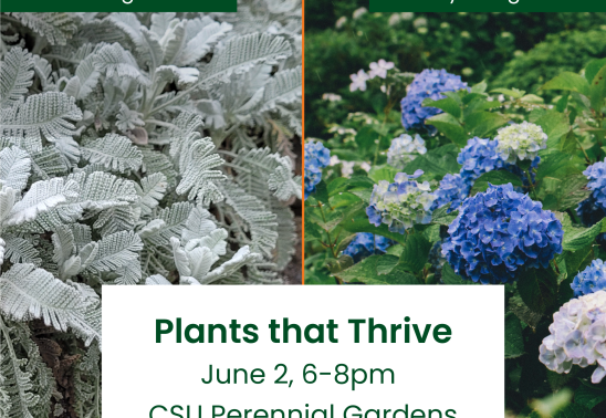 Plants that Thrive