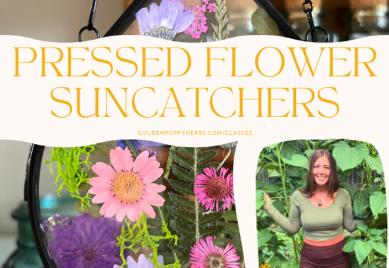 Pressed Flower Suncatchers with Courtney Sliga