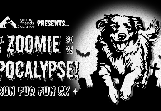Run Fur Fun Spooktacular